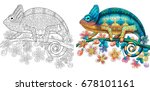 coloring page of chameleon... | Shutterstock .eps vector #678101161