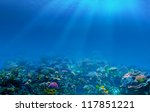 Underwater Coral Reef Background
