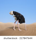 Scared Ostrich Burying Its Head ...