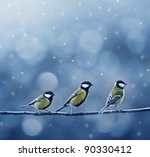 Three Titmouse Birds In Winter...