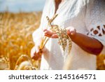  Caucasian female model in her 60s  walking through wheat field. Close up of hands