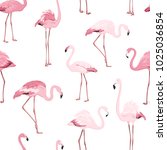 Pink Red Exotic Flamingo Birds...