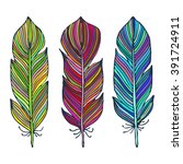 colorful hand drawn feather... | Shutterstock .eps vector #391724911
