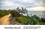 Small photo of beautiful famous trail Noosa coastal walk running alongside the pacific ocean in the famous noosa national park