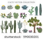 Cacti Vector Collection....