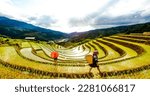 Small photo of Mu Cang Chai, Yen Bai province, Vietnam. August 29 2021. Terraced paddy fields. Hmong ethnic minority woman walking with a dossier. Mu Cang Chai is a district famous for many terraced rice fields.