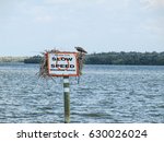 Manatees Danger Sign With Slow...