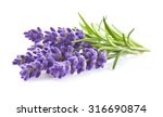 Lavender Flowers In Closeup
