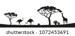 black silhouette of ostrich ... | Shutterstock . vector #1072453691
