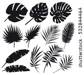 Set Of Palm Leaves Silhouettes...