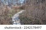 Small photo of Stone pathway leading through a garden gone dormant in the autumn. Tall plants line path. Everything is brown except for a few bright green plants on the ground. Bench partially seen in background.