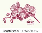 hand drawn botanical... | Shutterstock .eps vector #1750041617