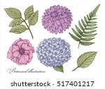 botany. set. vintage flowers.... | Shutterstock .eps vector #517401217