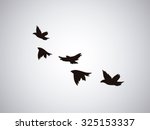 Vector Silhouette Flying Birds...