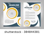 vector flyer template design.... | Shutterstock .eps vector #384844381