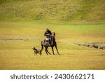 Small photo of Runaway sheep. A shepherd on a horse catches up with a sheep. Sheep run around the pasture. Animal husbandry and agriculture. Kyrgyzstan, Naryn - September 29, 2023.
