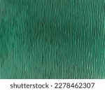 green leather texture closeup view background
