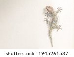 Close Up Gecko On White Wall.