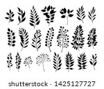 silhouettes of leaves set.... | Shutterstock .eps vector #1425127727
