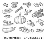 set vegetables. cucumbers  napa ... | Shutterstock .eps vector #1405666871