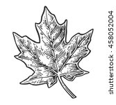 Maple Leaf. Vector Vintage...