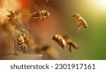 Small photo of Flying honey bees into beehive. Gathering pollen on meadow. Macro shot, low depth of focus.