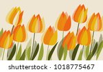 yellow tulip spring floral... | Shutterstock .eps vector #1018775467