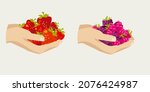 raspberries and strawberries in ... | Shutterstock .eps vector #2076424987