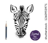 Hand Drawn Sketch Zebra Head...
