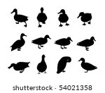 Collection Of Vector Duck...