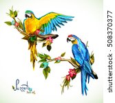 Illustration Of Two Parrots On...