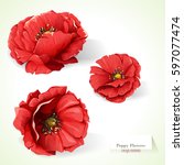 Poppy Flowers. Illustration Of...
