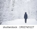 Young adult woman slowly walking on snowy trail at natural park in white winter day after blizzard. Fresh snow. Spending time alone in nature. Peaceful atmosphere. Back view.