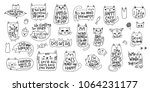 happy crazy love cat lady... | Shutterstock .eps vector #1064231177