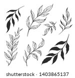 set of branches with leaves.... | Shutterstock .eps vector #1403865137