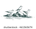 Gulls On A Rock. Vector Sketch.