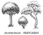 Trees Set. Sketch Illustration. ...