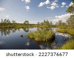 Tolkuse Bog, Pärnu-Ikla Recreation Area, Pärnu County, Estonia, Europe