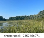 West Lake Nature Preserve - Portage, Michigan - August 2023