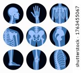 human man skeleton anatomy ... | Shutterstock .eps vector #1763455067