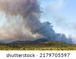Small photo of Wildfire in slovenian Karst with strong wind and drought