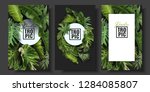 Vector banners set with green tropical leaves on black background. Exotic botanical design for cosmetics, spa, perfume, beauty salon, travel agency, florist shop. Best as wedding invitation cards