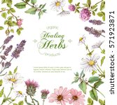 vector healing flowers and... | Shutterstock .eps vector #571923871