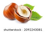 Small photo of Hazelnut with leaf isolate. Hazelnut peeled and unpeeled with leaves on white. Forest nut. Filbert side view. Full depth of field.