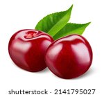 Cherry isolated. Cherries with leaves on white background. Two sour cherri on white. Cherry leaf. Full depth of field.