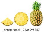 Small photo of Pineapple isolated. Pineapple set on white background. Whole pineapple, round slice and triangle piece collection.