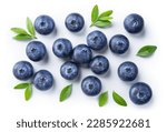 Blueberry isolated. Blueberries top view. Blueberry with leaves flat lay on white background with clipping path.