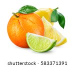 Citrus Fruit. Composition with leaves isolated on white background. Orange, lemon, lime.