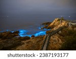 Small photo of Blue tears Noctiluca scintillans. Photographed in Matsu, Taiwan. The Chinese characters on the stone are the place name "Iron Castle"
