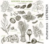 kitchen herbs and spice  vector ... | Shutterstock .eps vector #165788624